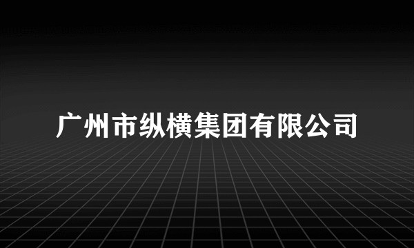 广州市纵横集团有限公司