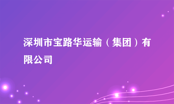 深圳市宝路华运输（集团）有限公司