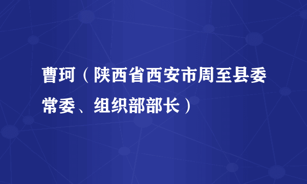 曹珂（陕西省西安市周至县委常委、组织部部长）