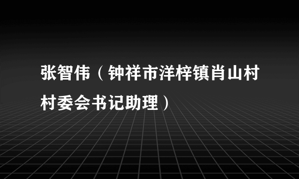 张智伟（钟祥市洋梓镇肖山村村委会书记助理）