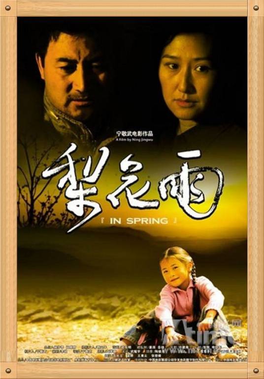 梨花雨（2007年宁敬武执导电影）