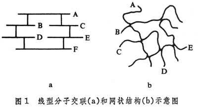 高分子辐照交联