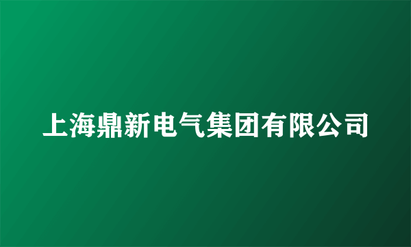 上海鼎新电气集团有限公司