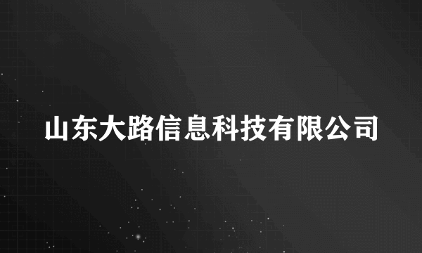 山东大路信息科技有限公司