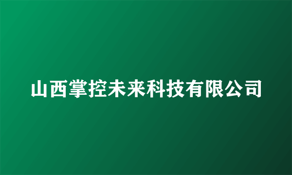 山西掌控未来科技有限公司