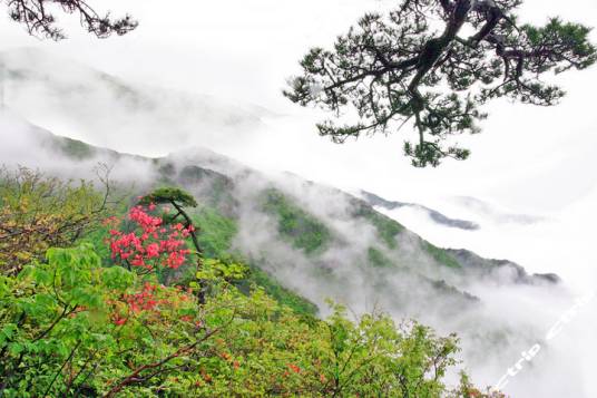 南京龙王山景区