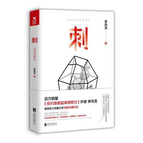 刺（2020年北京联合出版公司出版的图书）