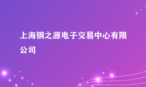 上海钢之源电子交易中心有限公司