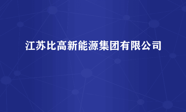 江苏比高新能源集团有限公司