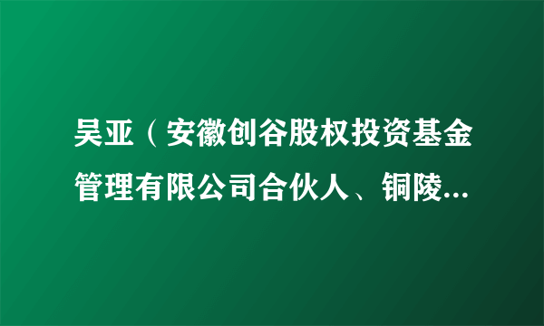 吴亚（安徽创谷股权投资基金管理有限公司合伙人、铜陵化学工业集团有限公司常务副总经理）