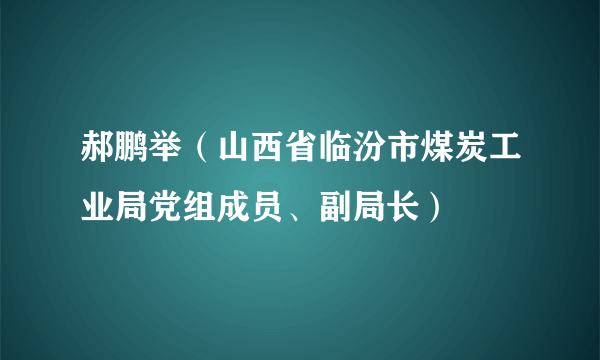 郝鹏举（山西省临汾市煤炭工业局党组成员、副局长）