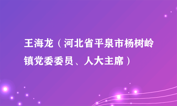 王海龙（河北省平泉市杨树岭镇党委委员、人大主席）