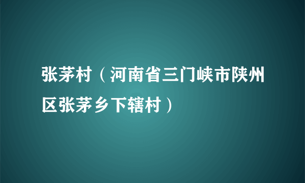 张茅村（河南省三门峡市陕州区张茅乡下辖村）