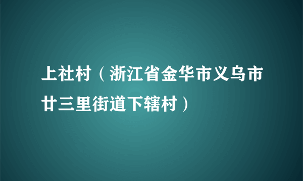 上社村（浙江省金华市义乌市廿三里街道下辖村）