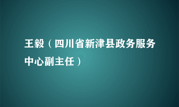 王毅（四川省新津县政务服务中心副主任）