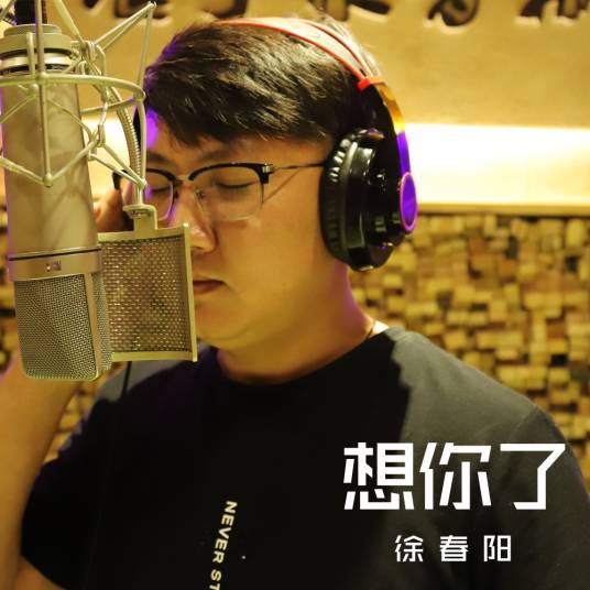 想你了（徐春阳演唱的歌曲《想你了》）