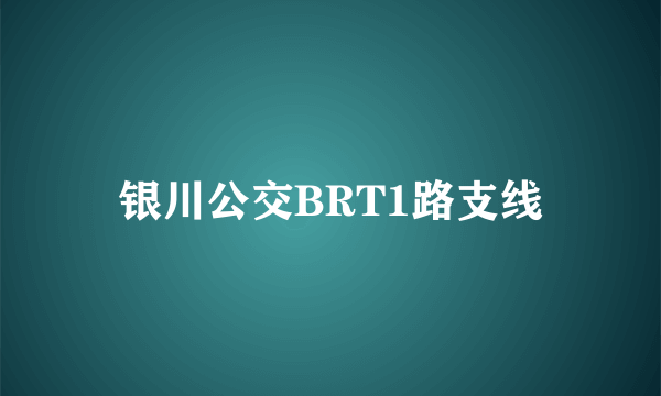 银川公交BRT1路支线