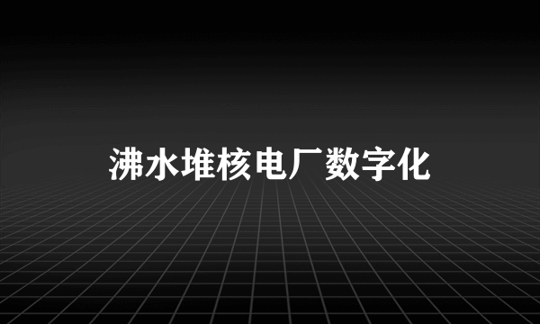 沸水堆核电厂数字化