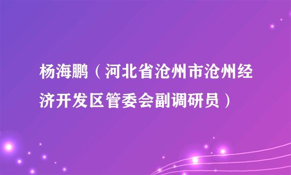 杨海鹏（河北省沧州市沧州经济开发区管委会副调研员）