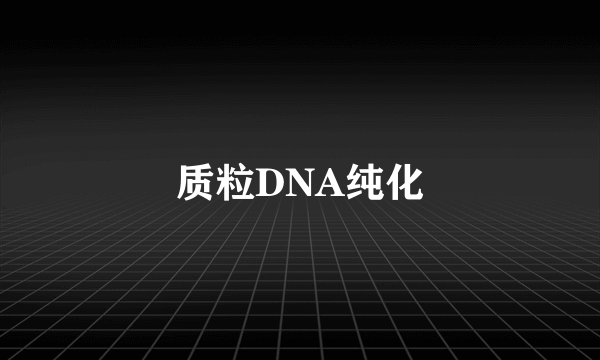 质粒DNA纯化