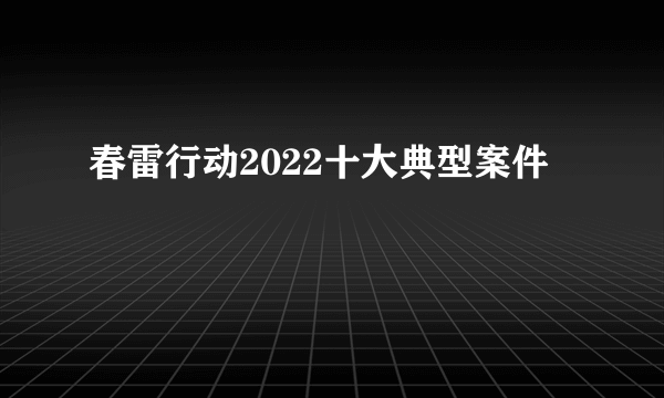 春雷行动2022十大典型案件