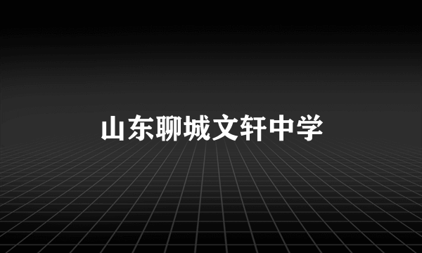 山东聊城文轩中学