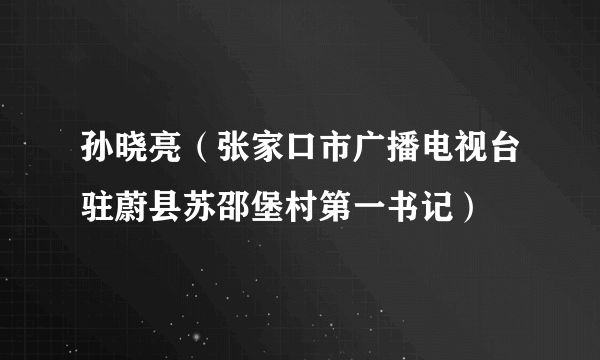 孙晓亮（张家口市广播电视台驻蔚县苏邵堡村第一书记）