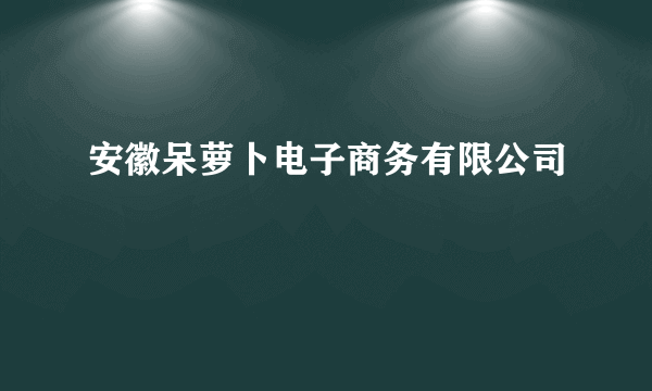 安徽呆萝卜电子商务有限公司