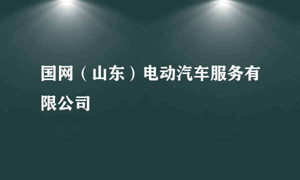 国网（山东）电动汽车服务有限公司