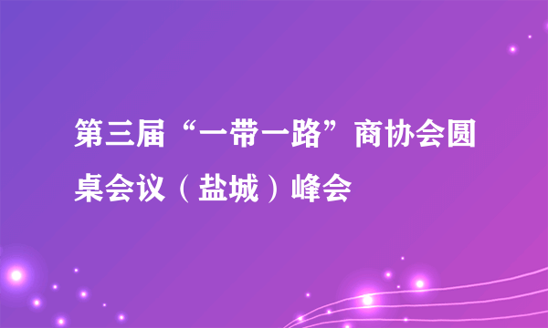 第三届“一带一路”商协会圆桌会议（盐城）峰会