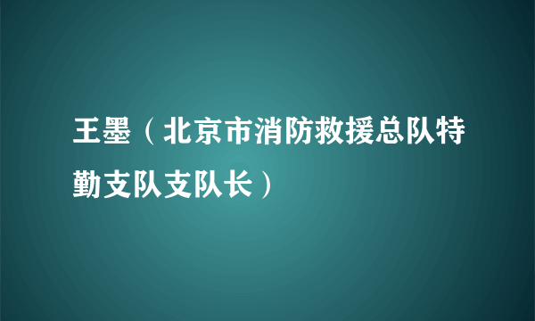 王墨（北京市消防救援总队特勤支队支队长）