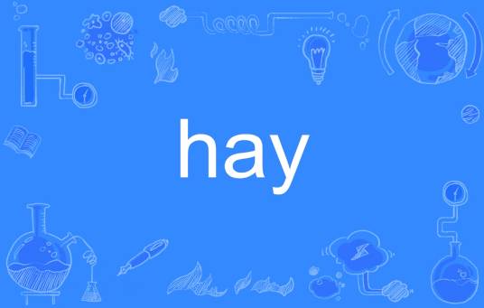 hay（英文单词）