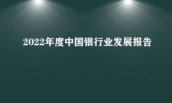 2022年度中国银行业发展报告