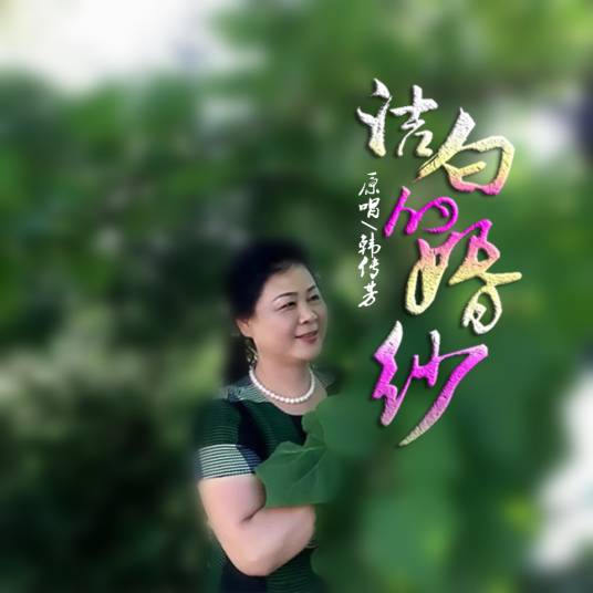 洁白的婚纱（韩传芳演唱的歌曲）