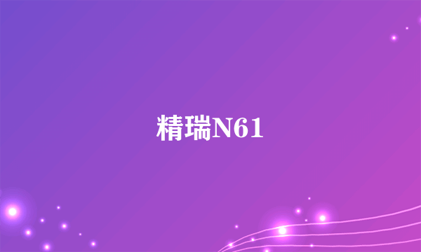 精瑞N61