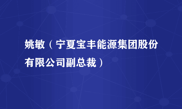 姚敏（宁夏宝丰能源集团股份有限公司副总裁）