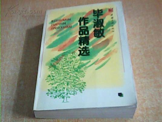 毕淑敏作品精选（2009年长江文艺出版社出版的图书）