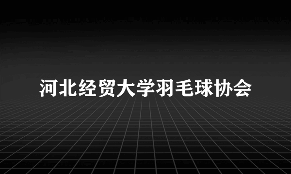 河北经贸大学羽毛球协会