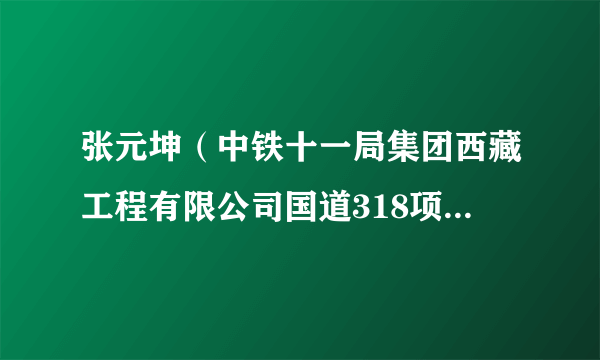 张元坤（中铁十一局集团西藏工程有限公司国道318项目经理）