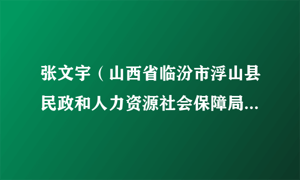 张文宇（山西省临汾市浮山县民政和人力资源社会保障局负责人）