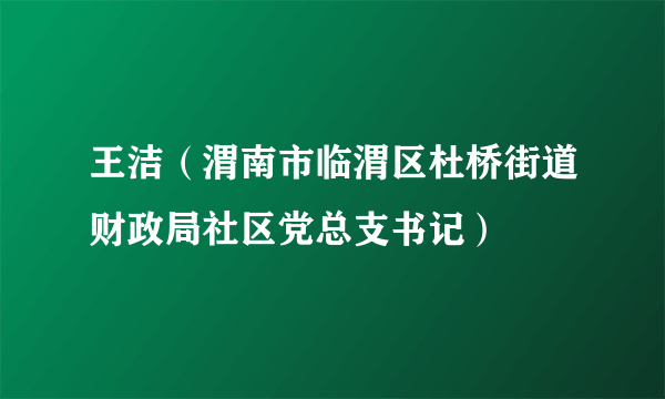 王洁（渭南市临渭区杜桥街道财政局社区党总支书记）