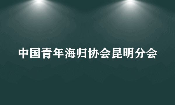 中国青年海归协会昆明分会