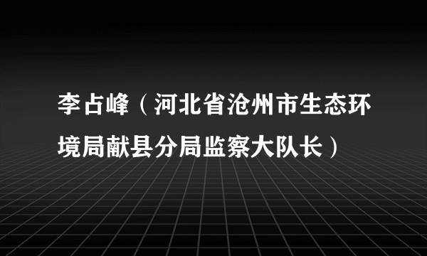 李占峰（河北省沧州市生态环境局献县分局监察大队长）