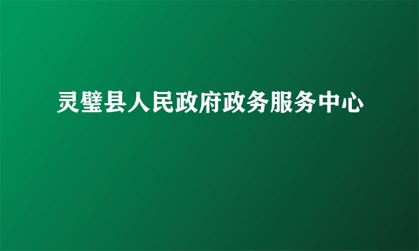 灵璧县人民政府政务服务中心