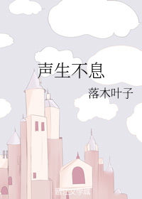 声生不息（落木叶子创作的网络小说）