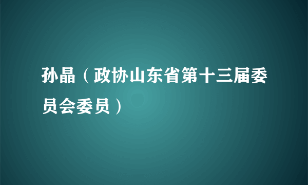 孙晶（政协山东省第十三届委员会委员）