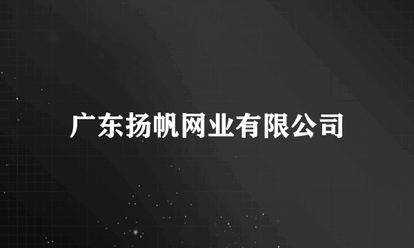 广东扬帆网业有限公司