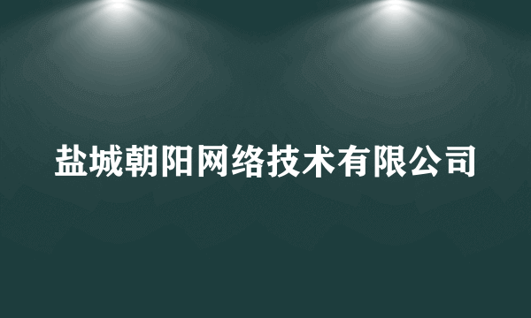 盐城朝阳网络技术有限公司