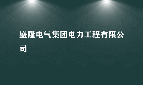 盛隆电气集团电力工程有限公司