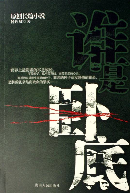 谁是卧底（2007年湖南人民出版社出版的图书）